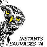 Festival Instants Sauvages 74 (Cornier)
