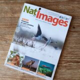 Nat’images n°87 – « L’Image du Mois »