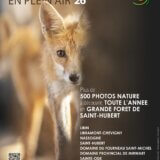 Les Saisons de la Photo en Grande Forêt de Saint-Hubert (Belgique, exposition extérieure sur un an)