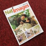 Nat’images n°91 – Dossier « Lumières sur l’ascalaphe »