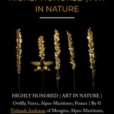 Mention très bien dans la catégorie « art in nature » des Nature&rsquo;s Best Photography International Awards