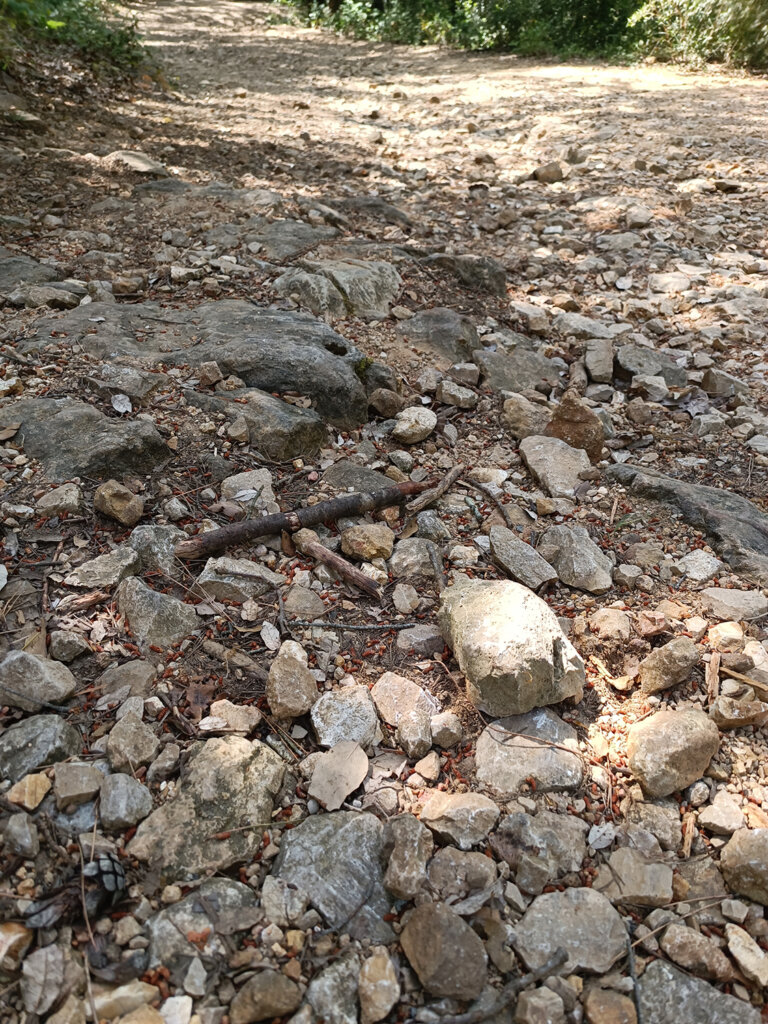 Voici les chemins habituels de mes spots : quelques grosses pierres branlantes. Rien de mieux pour se faire une entorse.